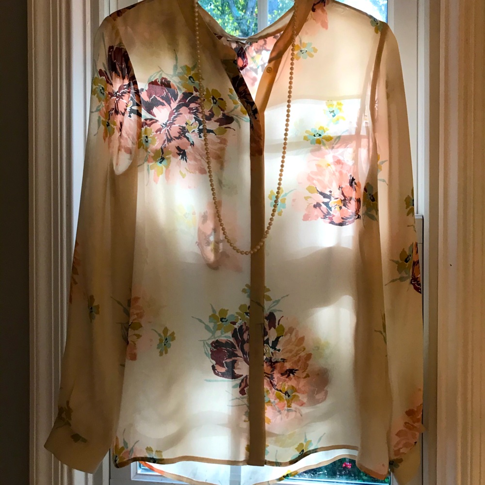 Silk blouse bu Joie